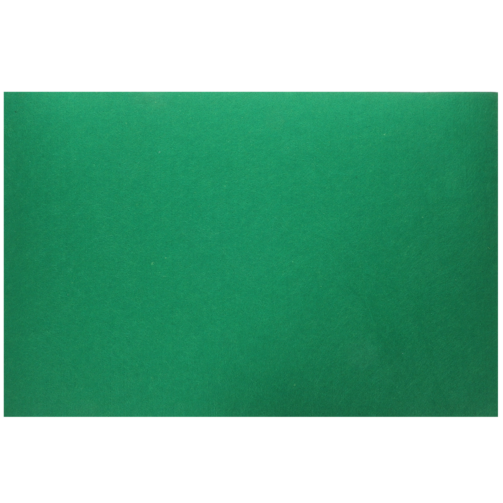 Cat Litter Mat - แผ่นรองสัตว์เลื้อยคลาน แผ่นดูดซับน้ำสำหรับกิ้งก่า พรมฆ่าเชื้อโรคสำหรับเต่า ขนาด 60x40 ซม.