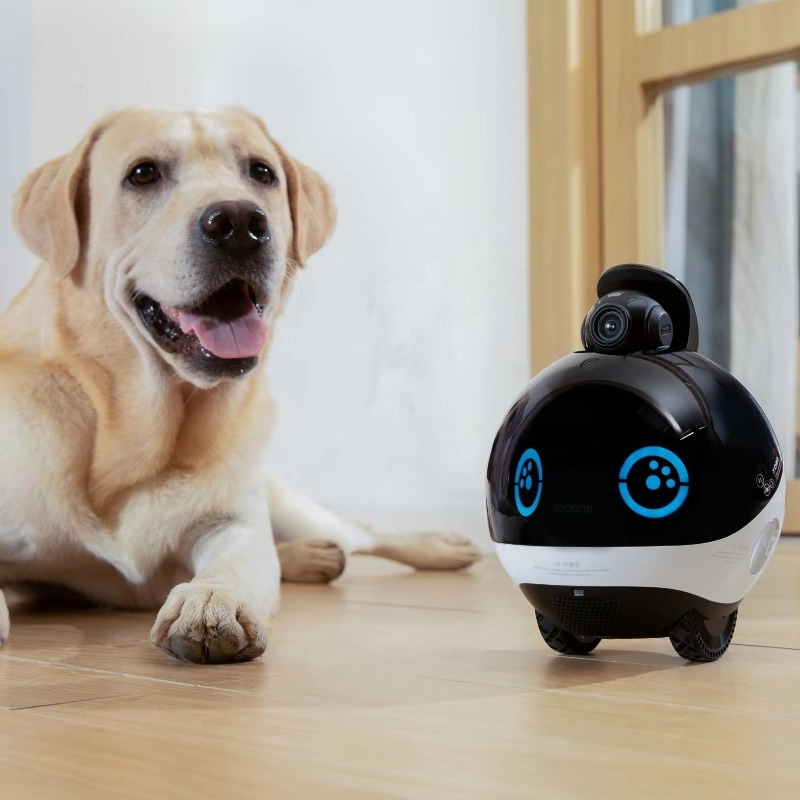 Interactive Cat Toy - กล้องสัตว์เลี้ยงอัจฉริยะ Smart Family Robot HD พร้อมระบบตรวจสอบแบบเรียลไทม์