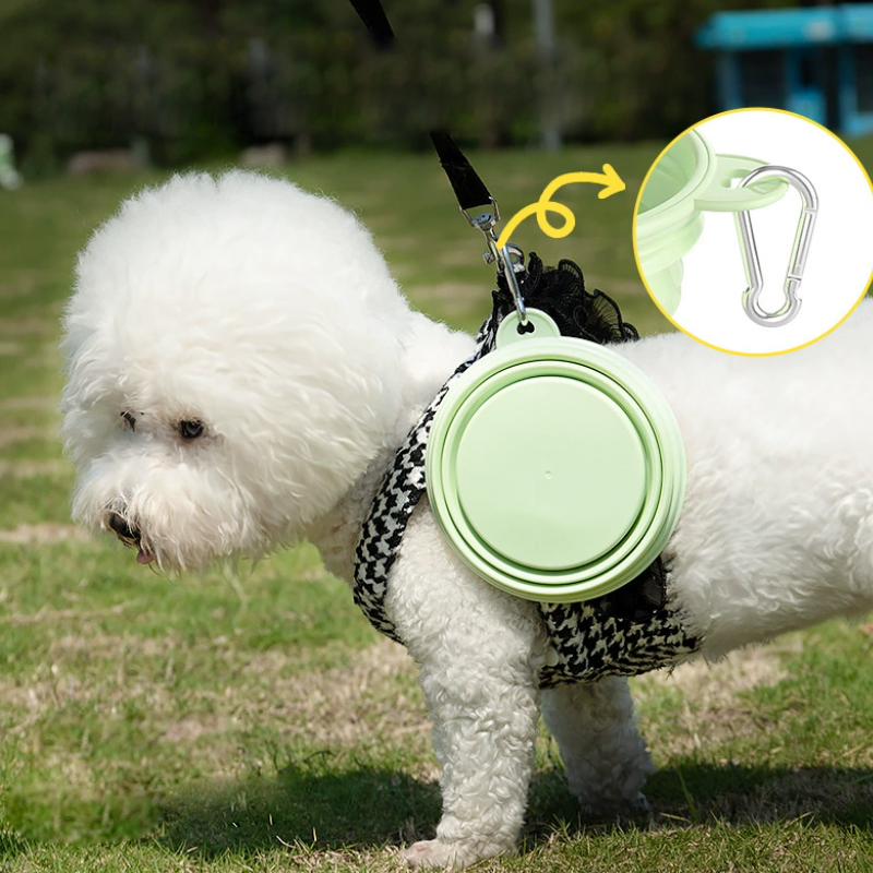 ภาชนะใส่อาหารและน้ำพกพาสำหรับส - Pet Supplies Is Food บทวิจารณ์และราคา