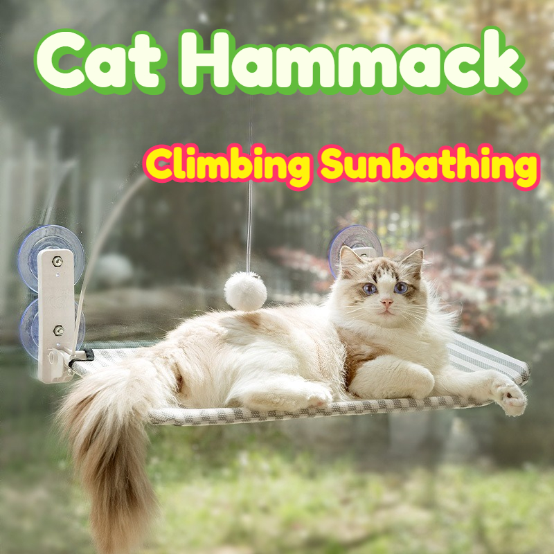 เปลแมวแบบแขวนหน้าต่าง ที่นอนแม - Interactive Cat Toy บทวิจารณ์และราคา