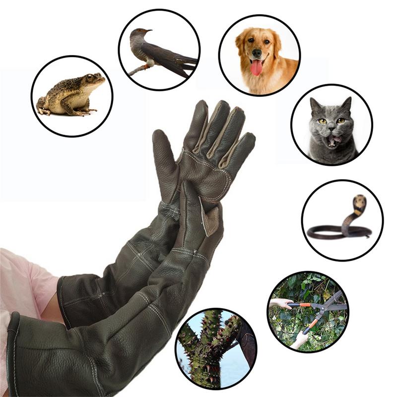 ถุงมือหนังวัวป้องกันการกัดป้อง - Pet Grooming Glove บทวิจารณ์และราคา