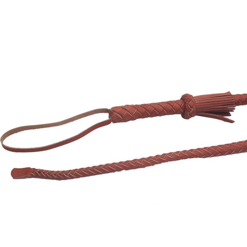 แส้หนังแท้สำหรับฝึกสุนัข อุปกร - Pet Supplies For Dogs บทวิจารณ์และราคา