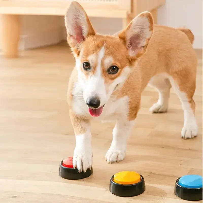 สัตว์เลี้ยงเสียงกล่องบันทึกพูด - Interactive Cat Toy บทวิจารณ์และราคา