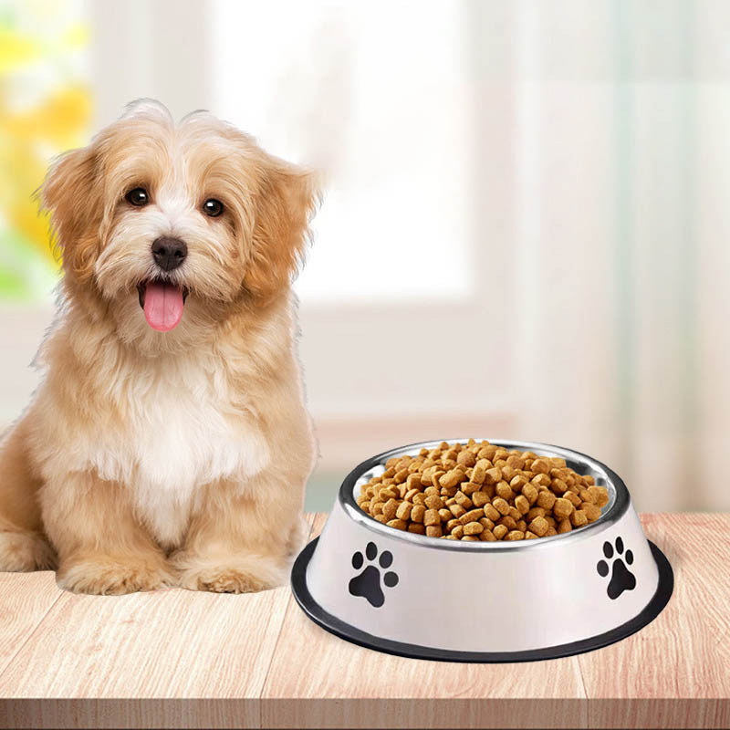 ชามอาหารสัตว์เลี้ยงสแตนเลสความ - Pet Supplies Is Food บทวิจารณ์และราคา