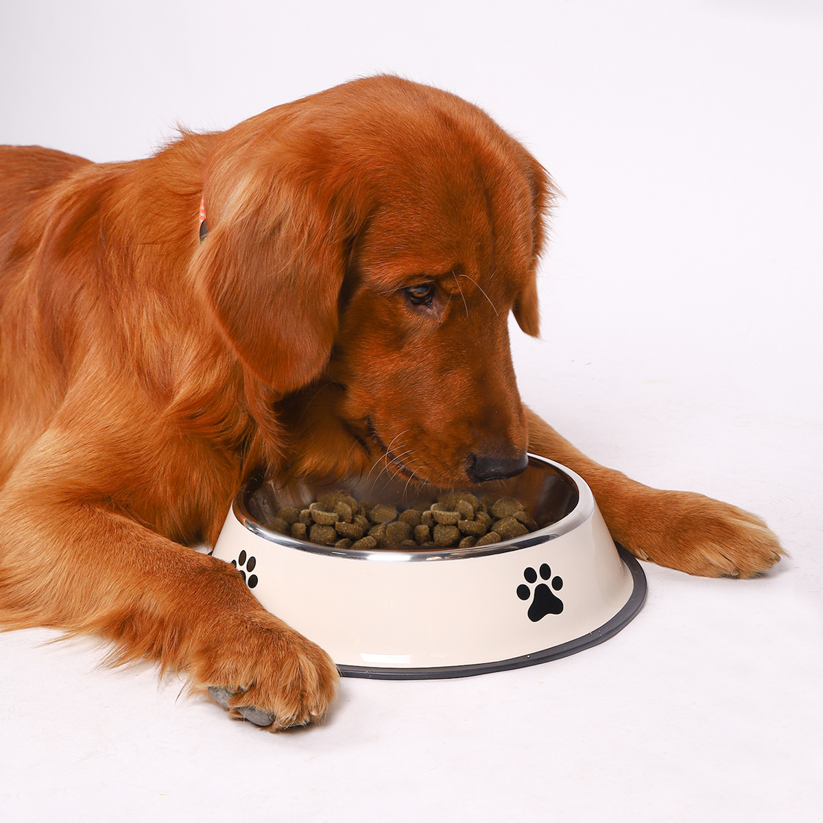 ชามอาหารสัตว์เลี้ยงสแตนเลสความ - Pet Supplies Is Food บทวิจารณ์และราคา