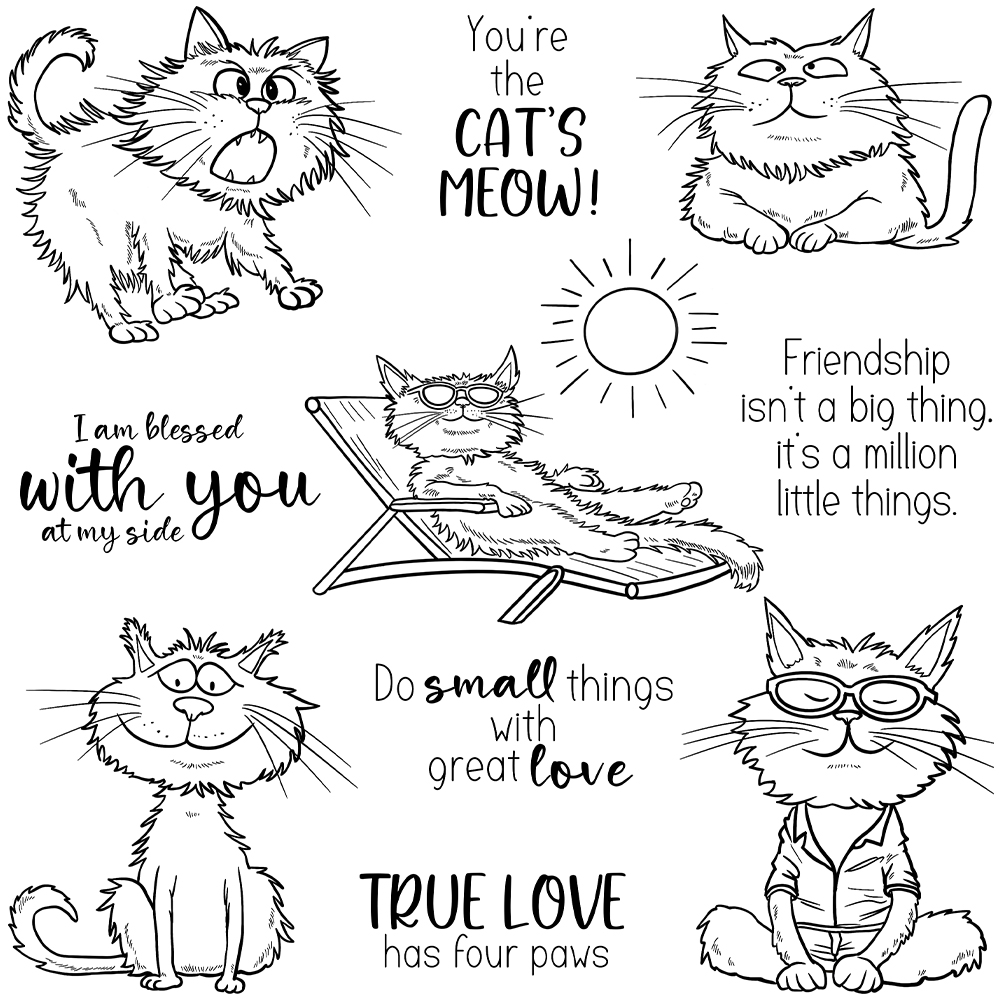 ที่ตัดลายกระดาษติดรูปแมวสัตว์เ - Pet Supplies Is Food บทวิจารณ์และราคา