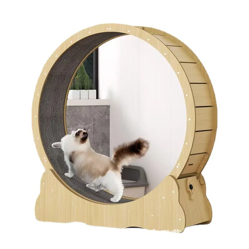 ล้อวิ่งออกกำลังกายสำหรับแมว ขอ - Interactive Cat Toy บทวิจารณ์และราคา