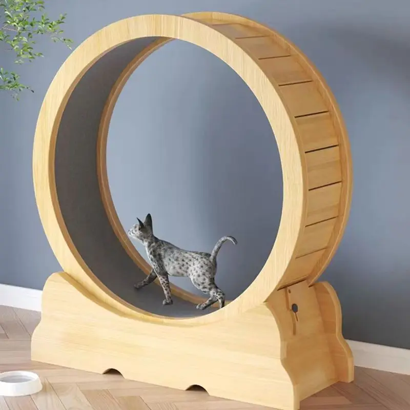 ล้อวิ่งออกกำลังกายสำหรับแมว ขอ - Interactive Cat Toy บทวิจารณ์และราคา