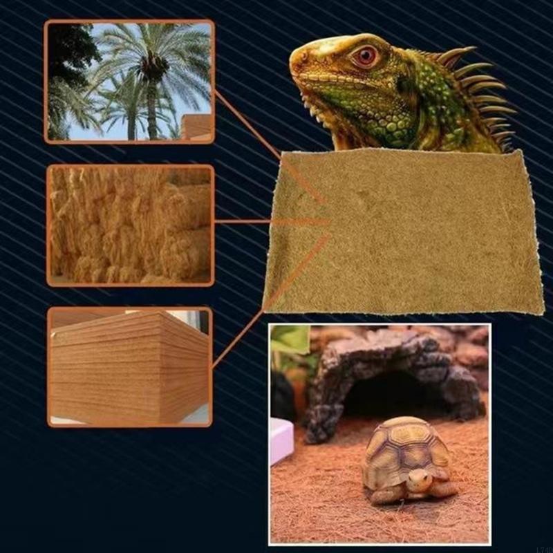 L74D เสื่อรองนอนทนทานและดูดซับ - Cat Litter Mat บทวิจารณ์และราคา