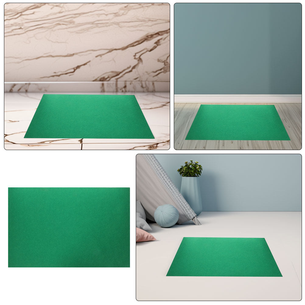 พรมปูพื้นสำหรับสัตว์เลื้อยคลาน - Cat Litter Mat บทวิจารณ์และราคา