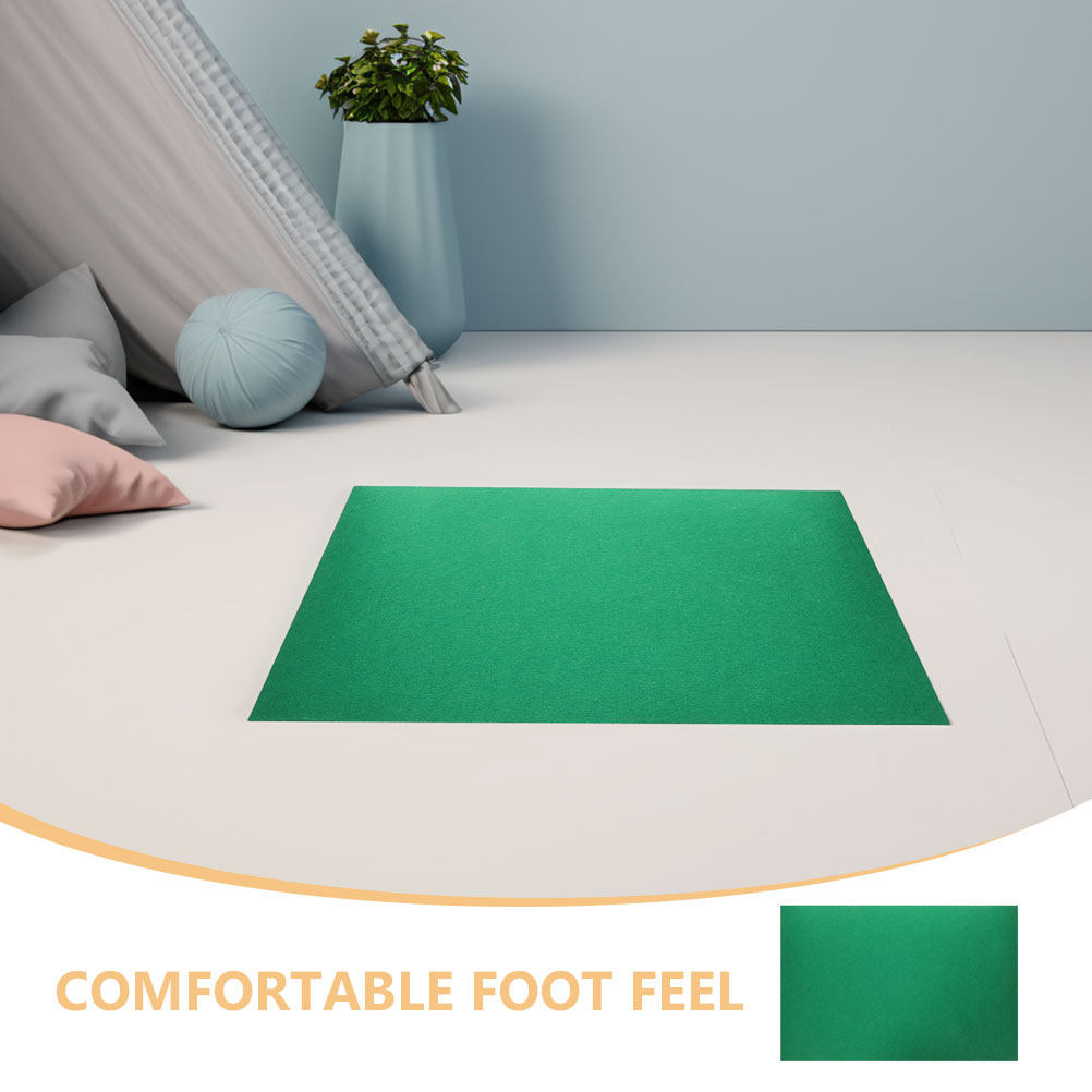 พรมปูพื้นสำหรับสัตว์เลื้อยคลาน - Cat Litter Mat บทวิจารณ์และราคา