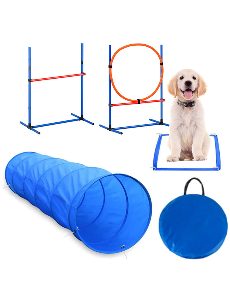 อุปกรณ์ฝึกสุนัขสำหรับการแข่งขั - Pet Supplies For Dogs บทวิจารณ์และราคา
