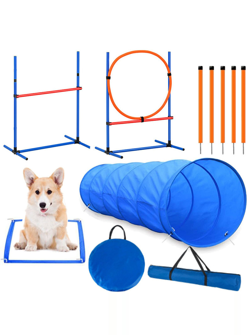 อุปกรณ์ฝึกสุนัขสำหรับการแข่งขั - Pet Supplies For Dogs บทวิจารณ์และราคา