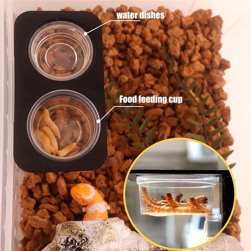 ถ้วยใส่อาหารและน้ำสำหรับตุ๊กแก - Pet Supplies Is Food บทวิจารณ์และราคา